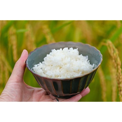 
2023年8月発送開始『定期便』＜無洗米＞奈良県大和高田市産ヒノヒカリ5kg 全3回【5161140】
