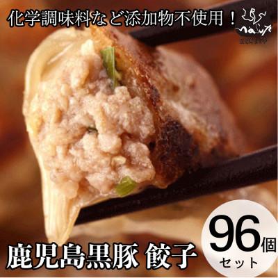 ふるさと納税 姶良市 鹿児島黒豚「短鼻豚(たんびとん)」餃子8パックセット[a-442](姶良市)