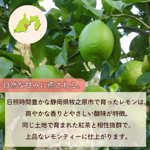 紅茶 レモンティー ティーバッグ 3袋 ティーパック 相良物産株式会社 静岡県 牧之原市