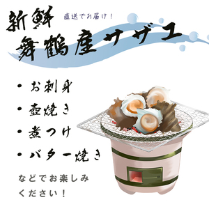 活 さざえ 6kg ： 舞鶴産 京都産 サザエ 生 栄螺 壺焼き つぼ焼き お刺身 海鮮BBQ 海鮮バーベキュー bbq バーベキュー 貝 海鮮 魚介 巻き貝