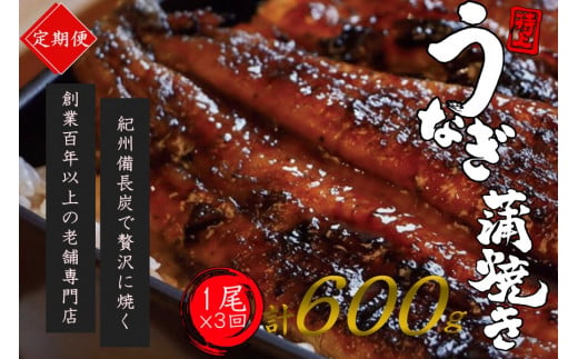 【全3回定期便】極上！国産うなぎ蒲焼 1尾×3回 計3尾 約600g 創業100年以上続く老舗 紀州備長炭でじっくり焼き上げた専門店の味 （タレ・山椒付き）/ うなぎ ウナギ 鰻 蒲焼 国産 ふるさと