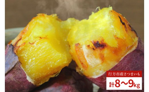 EY-41　紅はるか冷凍焼き芋50袋！！合計8～9kg(電子レンジ対応袋使用)イベント・催事等にも！
