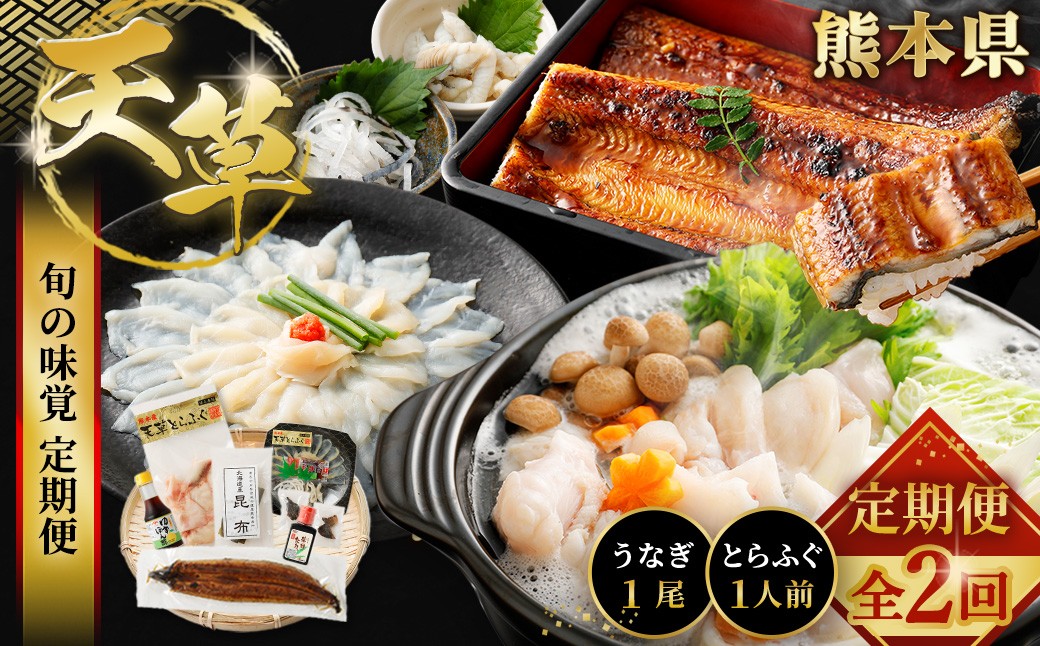 
                  【 天草旬の味覚定期便 2回 （ 1人前用 ） 】 天草とらふぐセット＋天草藍うなぎ蒲焼セット （ 1尾 ） ／ 刺身 旨味 魚 魚類 お魚 旬 フグ ふぐ とらふぐ うなぎ ウナギ 鰻 上天草 定期配送 定期 定期便 贅沢 蒲焼 蒲焼き
                
