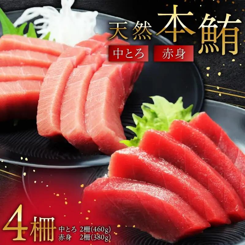 天然 本鮪 中とろ 2柵 ・ 赤身 2柵 M007-008-01 冷凍 マグロ
