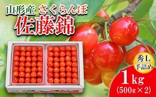 さくらんぼ 佐藤錦 Ｌ(500g×2)手詰 【令和7年産先行予約】FS20-090 くだもの 果物 フルーツ 山形 山形県 山形市 2025年産