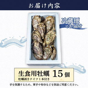 【生食用】 牡蠣 15個  生牡蠣 生食 殻付き 英虞湾産 シングルシードオイスター 「アマテラス」 牡蠣