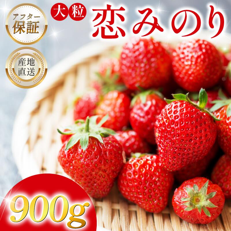 【ふるさと納税】いちご 900g 先行予約 大粒 恋みのり 極上 香り 甘い 苺 イチゴ 果物 フルーツ ストロベリー ジャム 期間限定 フルーツ大福 いちご大福 苺大福 ケーキ アイス シャーベット 人気 オススメ お取り寄せ グルメ ミカモフレテック みよし 徳島県 三好市