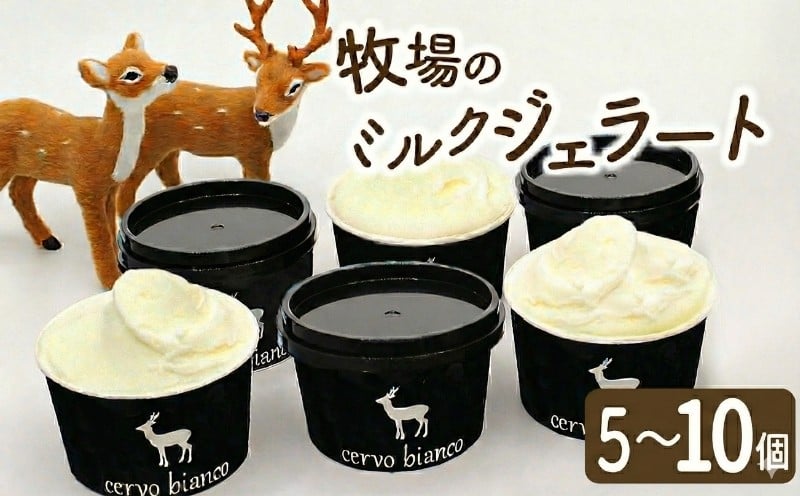 
                  ジェラート 5~10個 濃厚ミルク アイス ミルク 濃厚 詰め合わせ セット あいす ソフトクリーム アイスクリーム スイーツ お菓子 洋菓子 デザート 贈り物 ギフト 贅沢 クリーミー 口溶け なめらか cervo bianco チェルボビアンコ 奈良 名物 特産品 敬老の日 奈良市 奈良県 
                