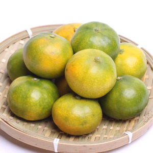 プレミアム有田みかん5kg+250g（傷み補償分）10月より発送(ゆら早生) YN26 ゆら早生 有田みかん みかん ミカン 有田 柑橘 フルーツ 【ikd016B】