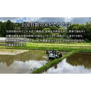 米・海苔セット ふさおとめ無洗米 味のりゆず・わさび 米・海苔セット【ふさおとめ2kg】