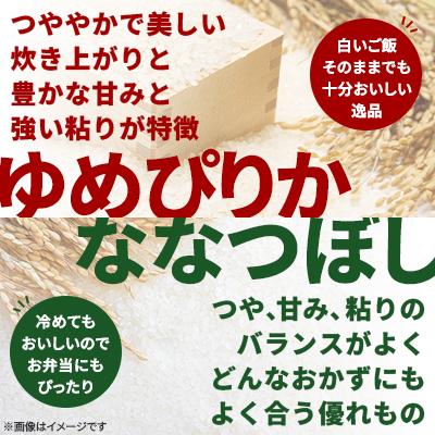 ふるさと納税 富良野市 【毎月定期便】【特A受賞米】【無洗米】北海道富良野市産食べ比べセット　精米5kg×2袋全6回 |  | 01