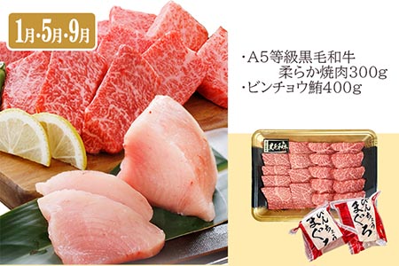 定期便(4回配送)黒毛和牛&まぐろ・かつお・さつま揚げ EE-0046 _ 定期便 牛肉 肉 お肉 焼肉 切り落とし ロース モモ ホホ肉 霜降り さつまあげ さつま揚げ サーロイン ステーキ かつお まぐろ 【1166765】