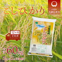 【ふるさと納税】＜12ヶ月定期便＞千葉県産「コシヒカリ」5kg×12ヶ月連続 計60kg ふるさと納税 米 定期便 5kg コシヒカリ 千葉県 大網白里市 送料無料 A033