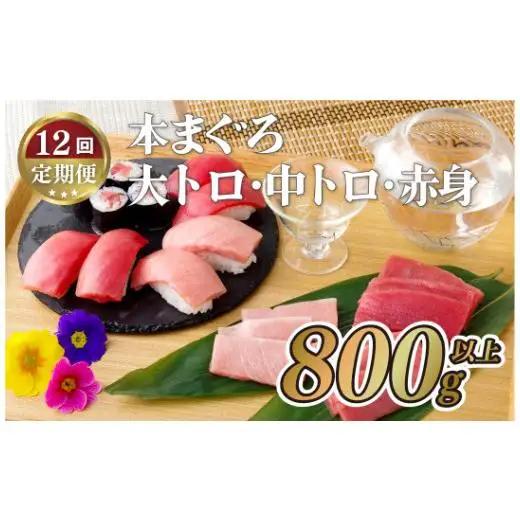 本マグロ【12回定期便】長崎県産 本まぐろ 3種セット  ( 大トロ 中トロ 赤身 ) 総計800g以上【本家永松屋】