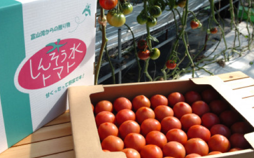 【事前受付】感動のフルーツトマト「深層水トマト」3キロ【濃厚な甘みと旨み】【配送不可地域：離島】