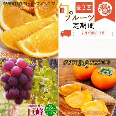 【発送月固定定期便】紀州和歌山産旬のフルーツセット(バレンシア・巨峰・富有柿)全3回【配送不可地域：離島・北海道・沖縄県】