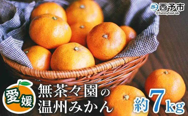 ＜無茶々園 温州みかん 約7kg＞ 【先行予約】果物 くだもの ミカン 蜜柑 柑橘 フルーツ うんしゅうみかん 選べる内容量 贈り物 ギフト おいしい 期間限定 季節限定 食べて応援 特産品 愛媛県 西予市 【常温】『2026年11月～12月に順次出荷予定』AMC0018