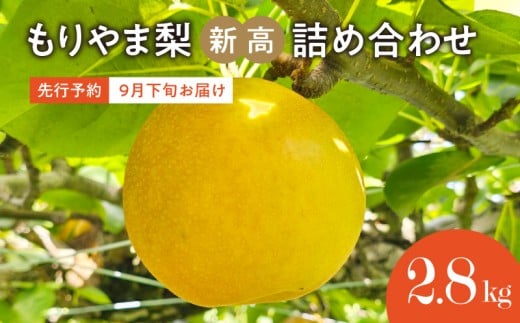 びわこもりやまフルーツランド もりやま梨 新高詰め合わせ【先行予約】 CV-0014