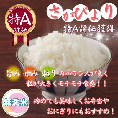 ふるさと納税 伊万里市 令和7年産【無洗米】さがびより 10kg(5kg×2袋) 《マイスターセレクト》(伊万里市) |  | 01