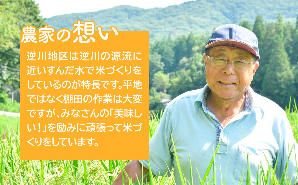 お米マイスター厳選!＜令和7年産＞茂木百騎米 精米 10kg（5kg×2袋） | コシヒカリ こしひかり おこめ 新米 令和7年産 9月発送 ライスパーラーかわかみ 栃木県 茂木町