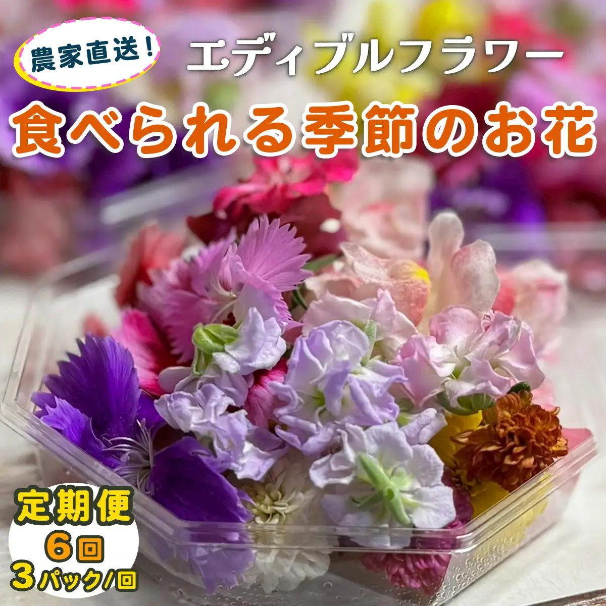 [定期便6回] 農家直送！加藤さんちのエディブルフラワー 3パック (1パックあたり季節のお花15輪から30輪)｜食用 花 お花 野菜 トッピング 付け合わせ [0770]