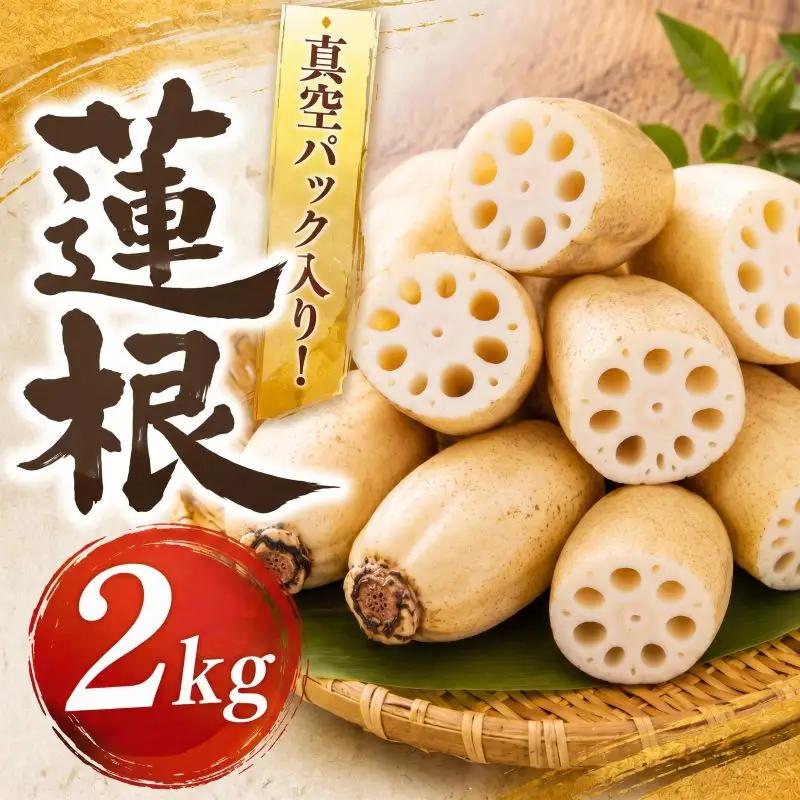 れんこん 小分け レンコン シャキシャキ 真空パック おせち | 【れんこん】krn017_X1