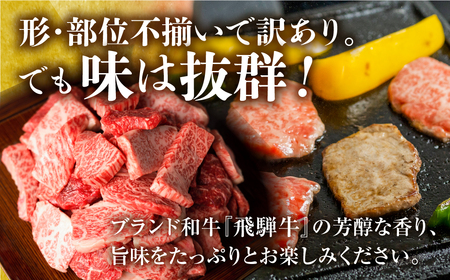 訳あり 飛騨牛 焼肉 切落し 600g 切り落とし 部位お任せ 肉 牛肉 お肉 和牛 冷凍 岐阜県 等級 お任せ BBQ 国産 不揃い ブランド牛 17000円 [S540]
