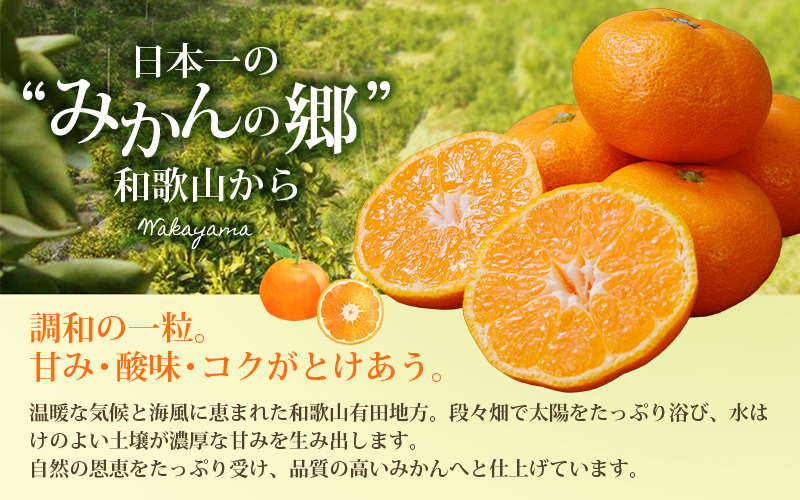 【2027年1月発送予約分】＼光センサー選別／ 農家直送 こだわりの 完熟 有田みかん 約10kg＋150g(傷み補償分) 【ご家庭用】【1月発送】 有機質肥料100% 有田みかん みかん ミカン 蜜