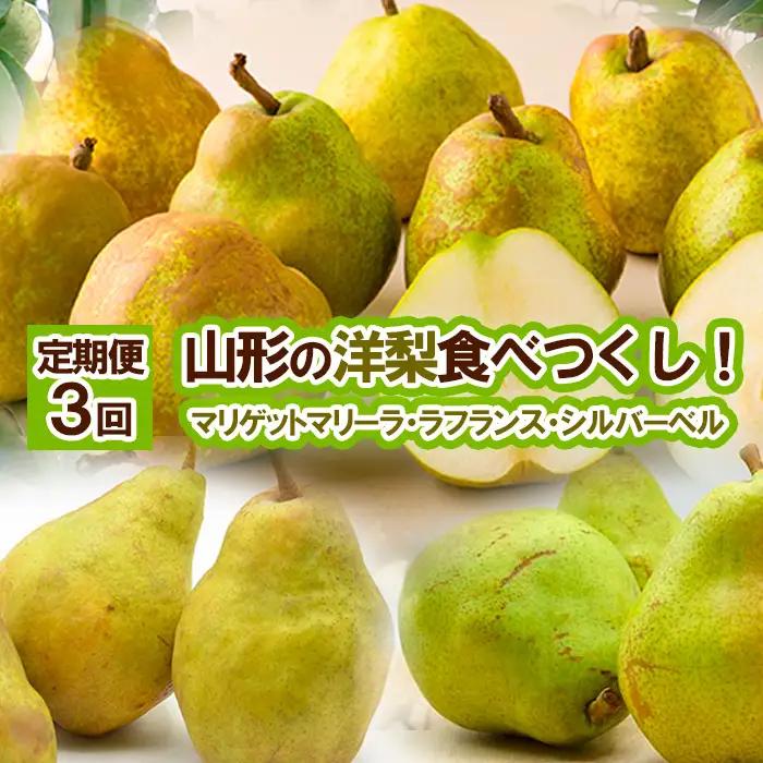 ★定期便3回★山形の洋梨食べつくし！(マリゲットマリーラ・ラフランス・シルバーベル) 【令和8年産先行予約】FS25-688 くだもの 果物 フルーツ 山形 山形県 山形市 2026年産
