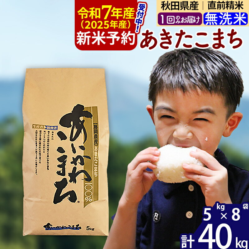 【ふるさと納税】※令和7年産 新米予約※秋田県産 あきたこまち 40kg【無洗米】(5kg小分け袋) 【1回のみお届け】2025産 お米 藤岡農産