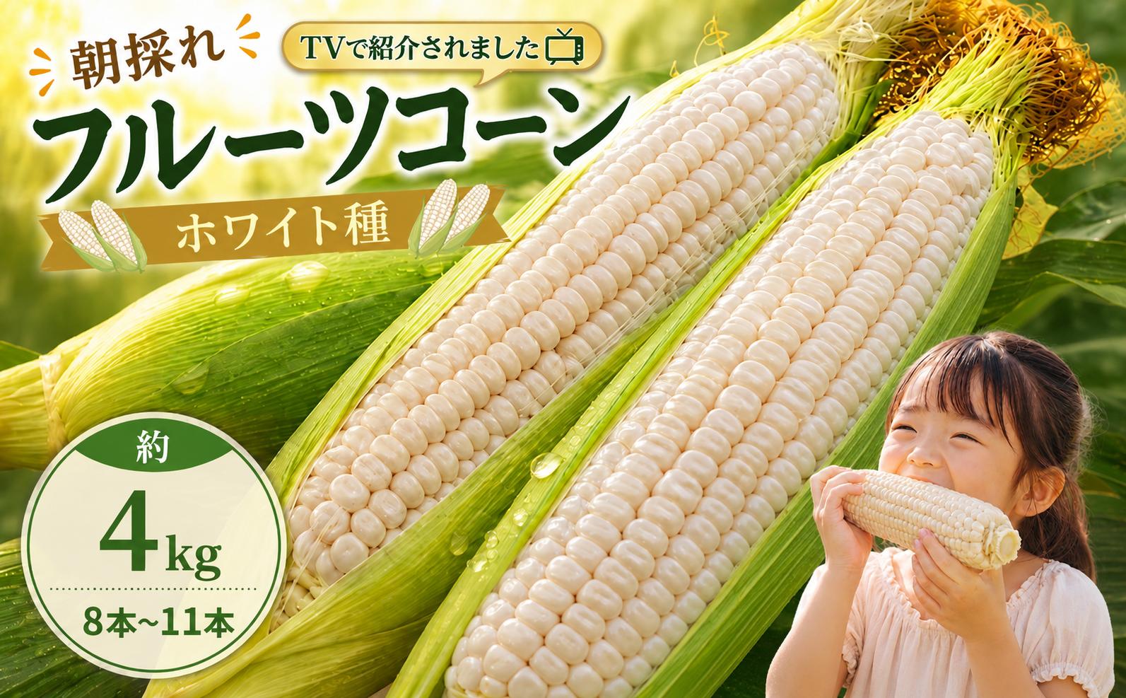 【2027年先行予約】 南国フルーツコーン ホワイト種(雪の妖精 他品種あり) 4kg (約8～11本) | とうもろこし トウモロコシ コーン スイートコーン フルーツとうもろこし もぎたて 新鮮 朝採れ 朝どり 夏野菜 旬 期間限定 数量限定 産地直送 農家直送 フルーツのような甘さ 甘い 激甘 皮付き 家庭用 高知県 南国市 BBQ バーベキュー キャンプ アウトドア [NK004]