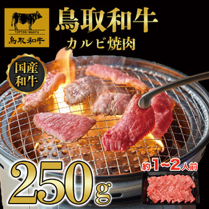 鳥取和牛焼肉用カルビ250g　DN-02