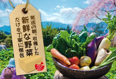 季節のお野菜とひばり工房3大人気セットver.2 野菜 セット 詰め合わせ 食べ比べ ベーコン ハム ソーセージ 本場 ドイツ コンテスト suffa 金賞 手作り 豚肉 新鮮 減農薬 旬 産地直送 