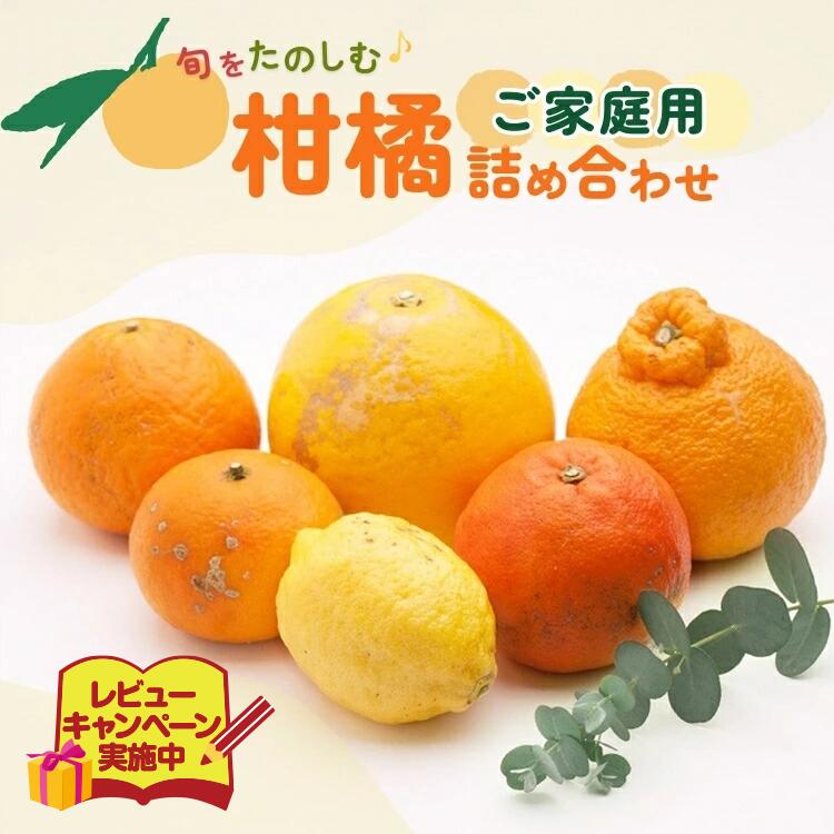 【ふるさと納税】＜1月より発送＞選べる内容量 家庭用 柑橘詰合せ◇【訳あり・わけあり】【有田の春みかん詰め合わせ・フルーツ詰め合せ・オレンジつめあわせ】【光センサー選別】 ※北海道・沖縄・離島への配送不可 ※2026年1月上旬～4月下旬頃に順次発送予定