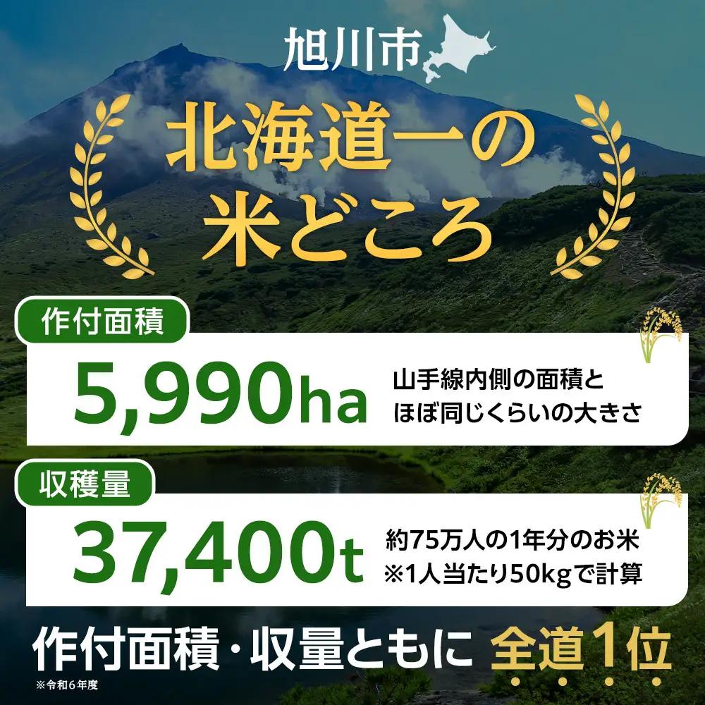 【6回定期便】岩崎農園 白米 特A ゆめぴりか 5kg ゆめぴりか