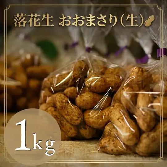 落花生　おおまさり（生） 1kg