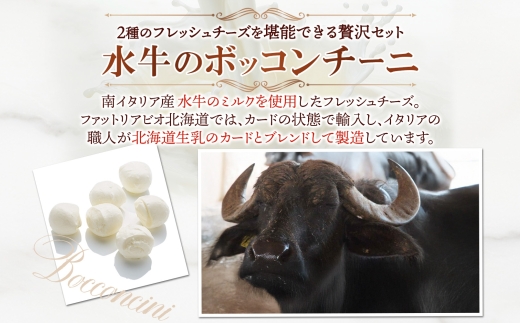 水牛と乳牛のボッコンチーニ食べ比べセット ｜ ファットリアビオ北海道 モッツァレッラチーズ 北海道 札幌市