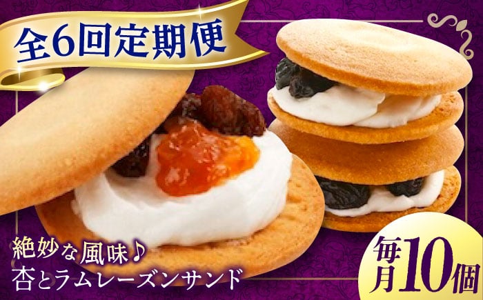 
                  【全6回定期便】 お菓子 杏とラムレーズンサンド 10個入り あんず 杏子 おやつ 菓子 お茶 レーズン ぶどう 葡萄 レーズンサンド アフタヌーンティー 紅茶 ティータイム お菓子 甘味 スイーツ 人気 おすすめ 美味しい グルメ お取り寄せ ギフト 贈り物 プレゼント セット 詰め合わせ 洋菓子 焼き菓子 広島 しっとり 大人な 広島県福山市/有限会社勉強堂 [BAFL016]
                