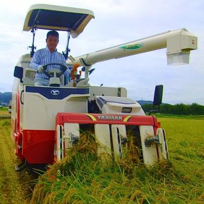 ふるさと納税 三条市 県認証 特別栽培米 コシヒカリ5kg 無洗米 令和7年産 新潟県三条市産 【011S193】 |  | 02