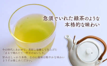 綾鷹 650mlPET_48本（24本入×2ケース）｜お茶 ペットボトル