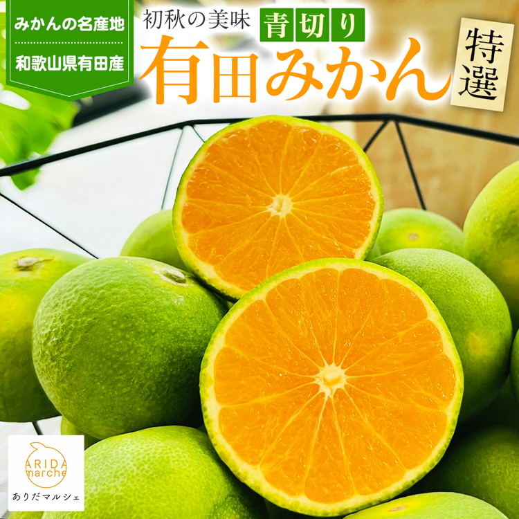 【先行予約】【初秋の美味】特選！濃厚青切り有田みかん 1.2kg(1kg+200g(傷み補償分))