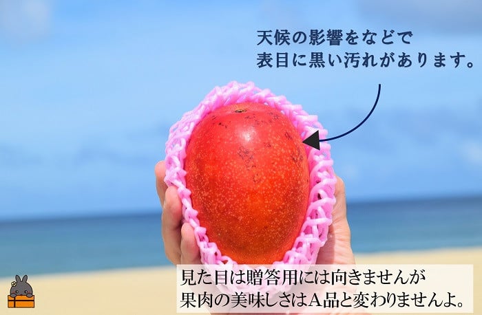今年は梅雨時期に湿度が高かったため、表面に黒い汚れがございます。