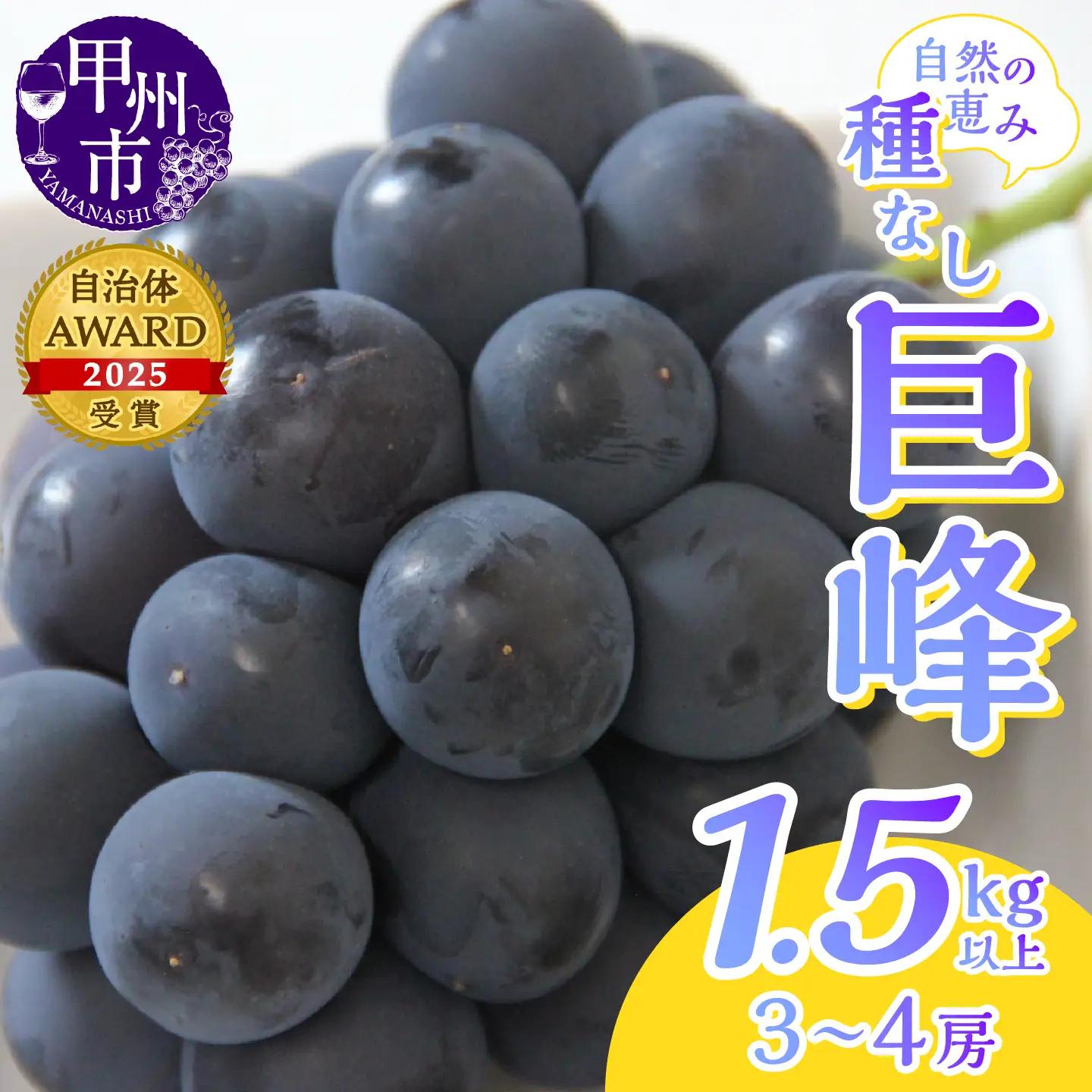 産地直送 山梨自然の恵み！種なし巨峰 3～4房 1.5kg以上【2025年発送】（LKS）B12-162 【巨峰 ぶどう 葡萄 ブドウ 令和7年発送 期間限定 山梨県産 甲州市 フルーツ 果物】