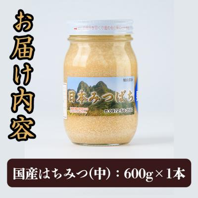 ふるさと納税 佐伯市 国産 はちみつ (600g) 多賀さん採蜜 |  | 01