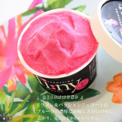 ふるさと納税 徳之島町 《年末お届け!》〜島の素材をそのままに〜プレミアムジェラート&ソルベ 16個 |  | 03