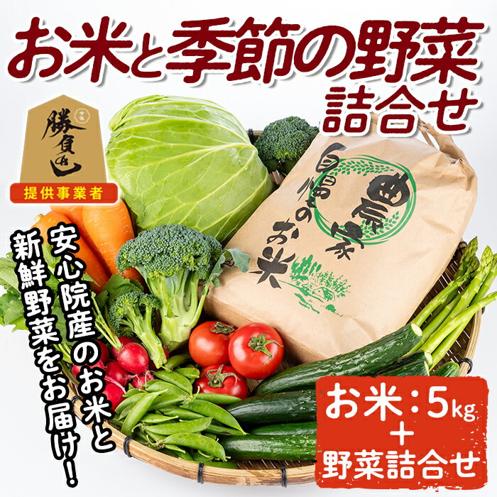 【ふるさと納税】産地直送！宇佐のお米と季節の野菜詰合せ(お米5kg＋野菜詰め合わせ)米 お米 野菜 季節の野菜 詰合せ 安心院産 大分県産 勝負めし 【103700102】【小の岩の庄】