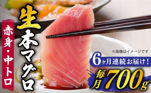 【全6回定期便】【ながさき水産業大賞受賞！！】五島列島産 養殖 生本かみまぐろ 赤身 中トロ ブロック 計約700g 魚介類 鮮魚 まぐろ 【カミティバリュー】 [RBP068]