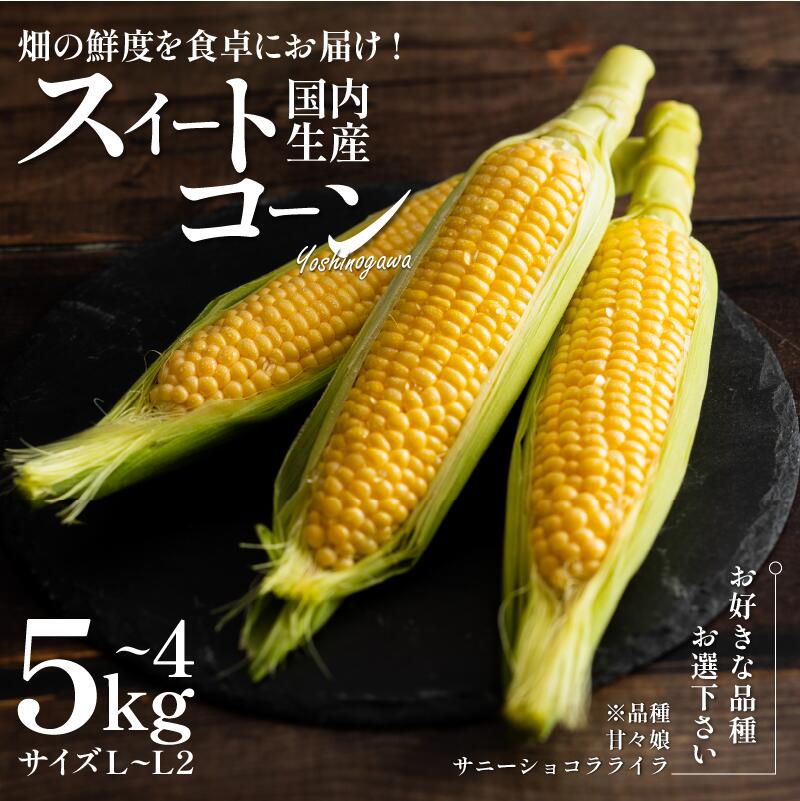 【ふるさと納税】 とうもろこし 選べる スイートコーン 甘々娘 4kg サニーショコラライラ 5kg 極甘 糖度 コーン 野菜 やさい サラダ スープ コーンスープ BBQ アウトドア 旬 朝採り ビタミン かんかん娘 カンカン娘 艦娘 人気 お取り寄せ 5月以降順次発送
