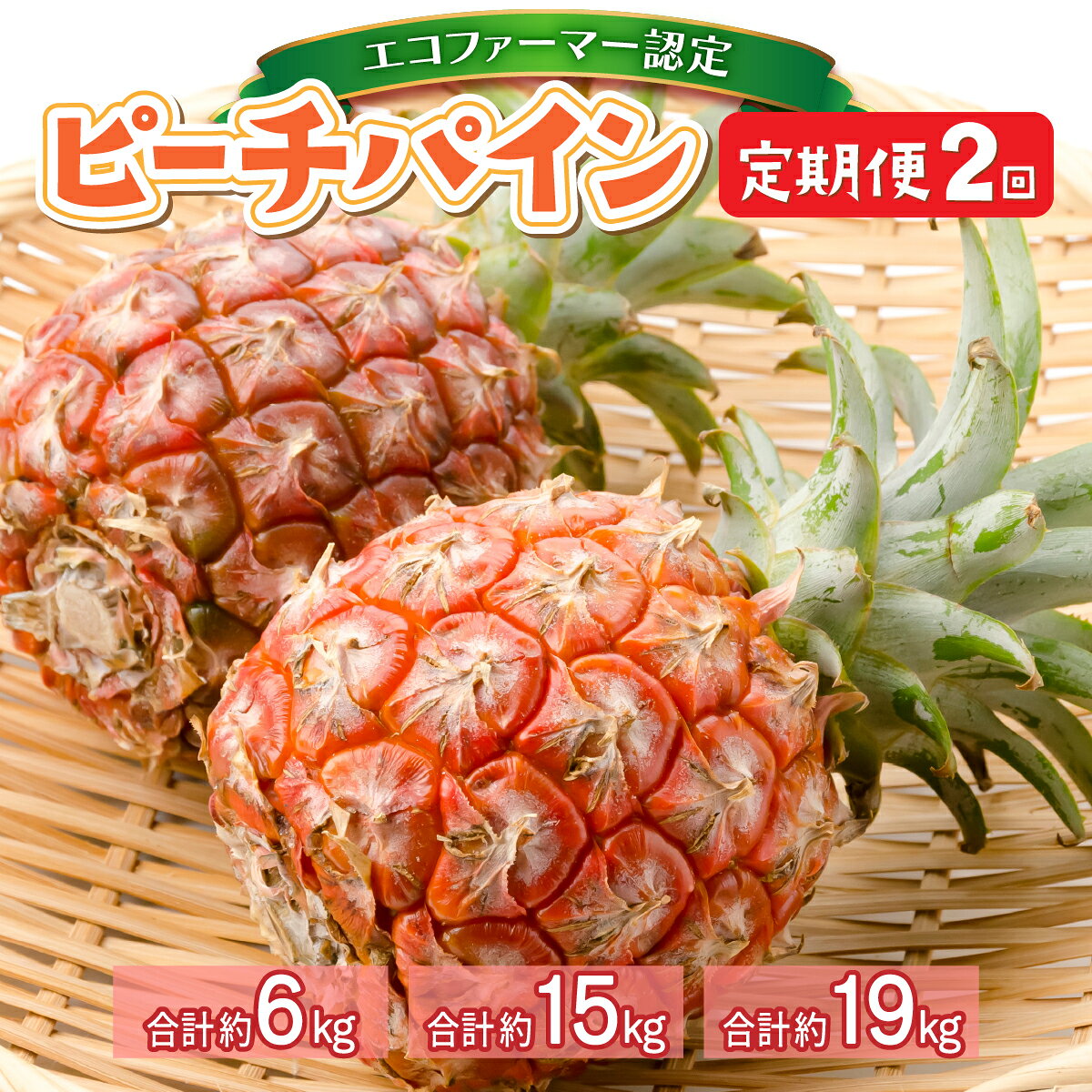 【ふるさと納税】＜容量が選べる＞定期便 2ヶ月 2026年 先行予約 ピーチパイン 約3kg〜9.5kg 西表島 絶品 初エコファーマー認定 パイン 果物 フルーツ 2回 お楽しみ　【定期便・竹富町】　お届け：2026年4月上旬〜6月下旬