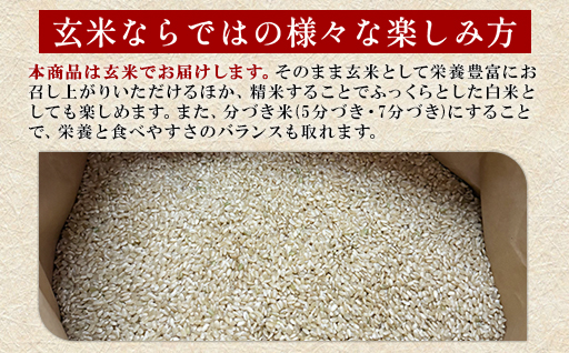 【a168】米（玄米）「にじのきらめき」5kg(一袋）